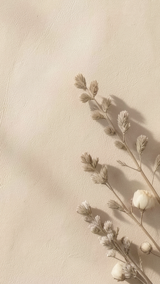 Ästhetischer Hintergrund mit getrocknetem Gras und Gräser-Schatten auf einer cremefarbenen Wand, ideal für Naturkosmetik-Präsentationen.